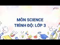 Plant Biology and Photosynthesis Concepts