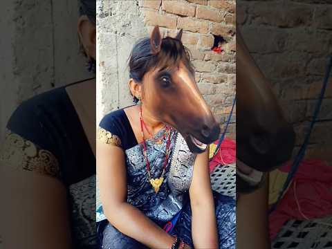 😆Funny Horse Fece Video🐴 #shorts #funnyshorts #viralshort #youtubeshorts #shortvideo