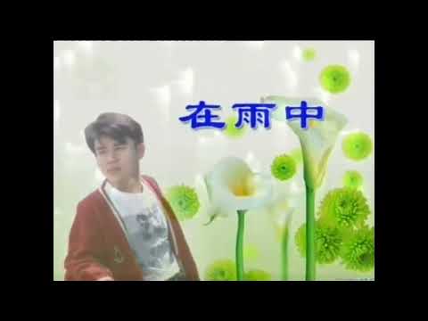 陳良泉  – 在雨中 Original Karaoke