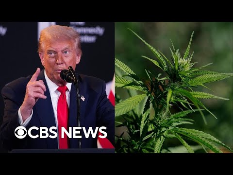YouTube video thumbnail: Trump Considering Marijuana Reclassification