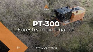 Video - FAE PT-300 - The ideal tracked carrier for the most difficult tasks