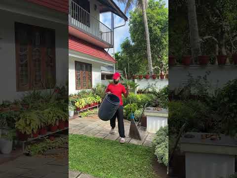 ഓണത്തിന് ശേഷം #garden #onam #houseplants #jishnuuthaman