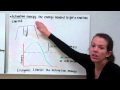 Exploring the Role of Enzymes in Reactions