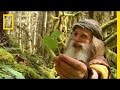 Exploring Mick's Journey