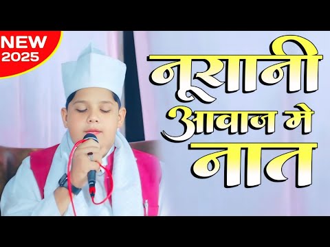 कलाम सुनिए दिल खुश होजाएगा Peer Masood Ahmad Alvi Naat | Gulrehwa Gonda U.P