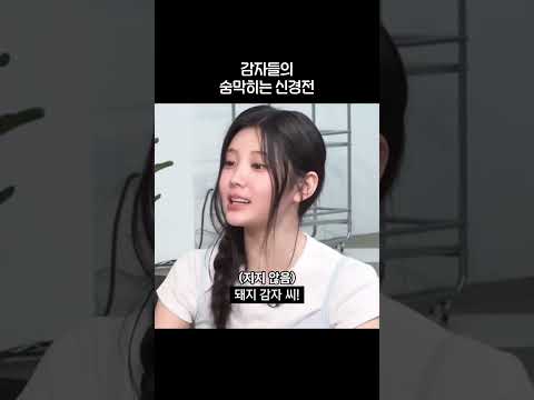감자들의 숨막히는 신경전 [아일릿]