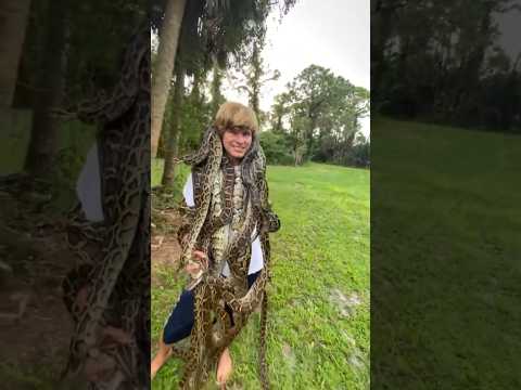 El hombre que juega con cocodrilos y serpientes #curiosidades #datoscuriosos