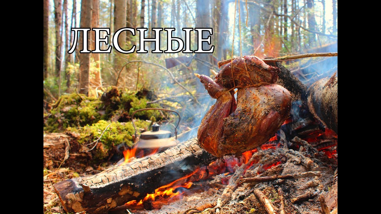 Путь охотника необычный костер - жаровня запеченное мясо кровать из мешков тайга hunt