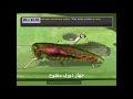 Arthropods: Structure and Function