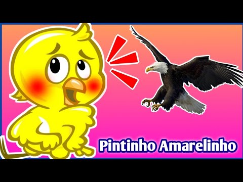 PINTINHO AMARELINHO - DVD GALINHA PINTADINHA | Mariana Conta 1 | Desenho Animado Historia infantil#1