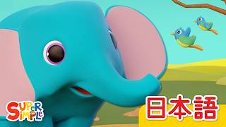 ゾウのあかちゃん「Baby Elephant」| こどものうた |  Super Simple 日本語