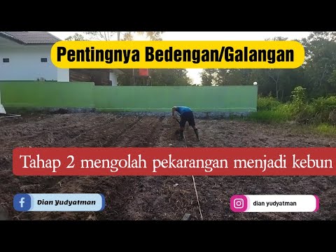 Tak kalah penting inilah tahapan berikutnya utk memulai berkebun di pekarangan (Tahap 2)