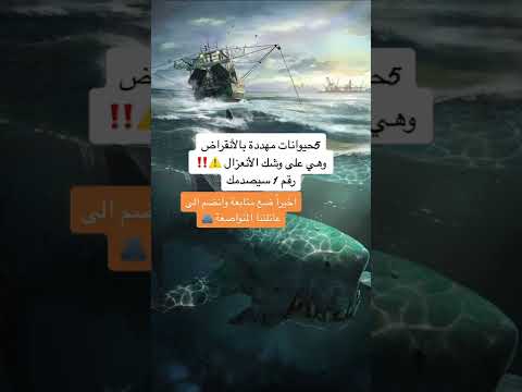 5 حيوانات مهددة بالانقراض وهي على ووشك الانعزال