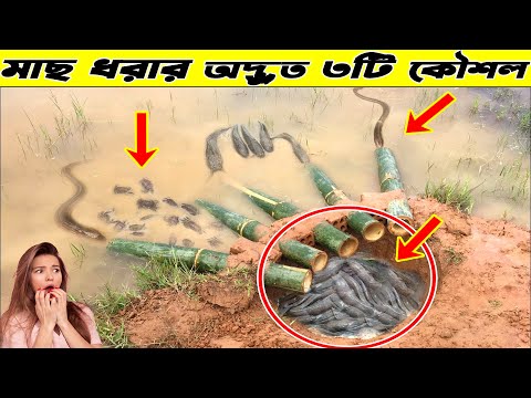 মাছ ধরার অদ্ভুত ৩টি নতুন কৌশল 😱 weird fishing techniques 2022 😱 #shorts #youtubeshorts #trending