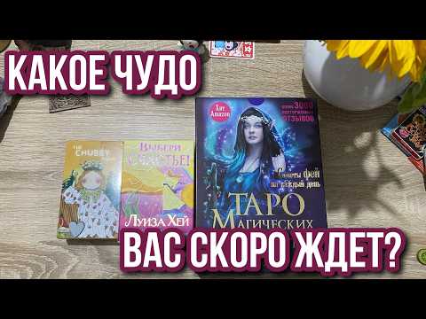 🤱🏻КАКОЕ ЧУДО ВАС СКОРО ЖДЁТ? 💰гадание на таро Tarot reading