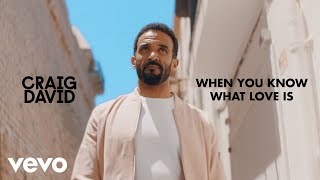 Craig David - When You Know What Love Is