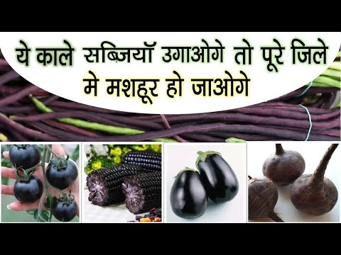 इन काली सब्जियों को लगाओगे तो पुरे जिले में मशहूर हो जाओगे  Grow Black Vegetables