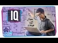 Exploring the True Meaning of IQ and Intelligence