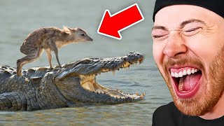 UNBELIEVABLE Genius Animals That Saved Other Animals
