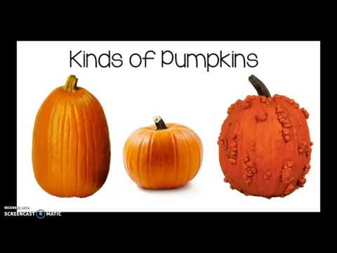 All About Pumpkins - YouTube