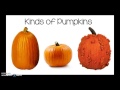 Exploring the World of Pumpkins