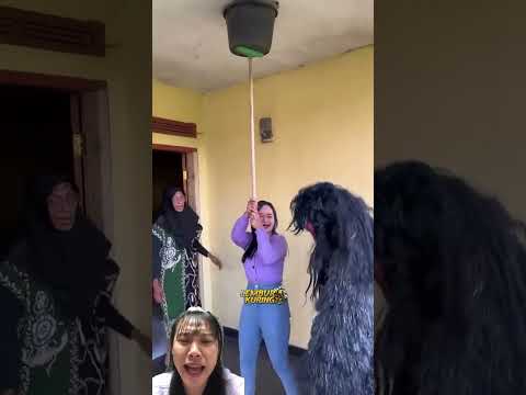 Đặt bẩy chuột 🐀