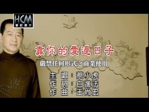 蔡小虎-靠你的愛過日子(官方KTV版)