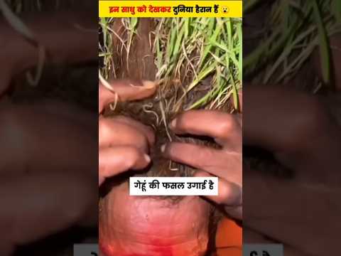 इन साधु को देखकर दुनिया हैरान हैं 😮 #agoribaba