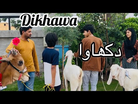 Qurbani 🐑🐪|| Moral ​⁠@asadullahandmehru