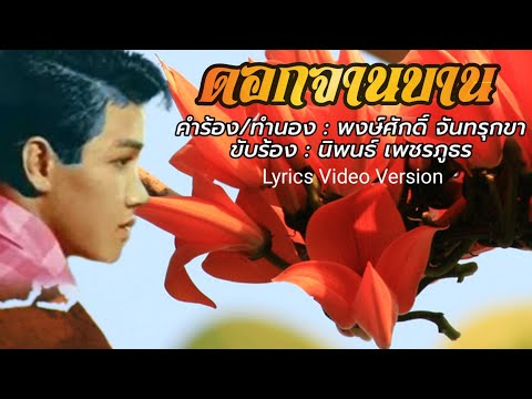 ดอกจานบาน - นิพนธ์ เพชรภูธร[Lyrics Video Version]