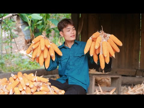Harvest corn and store it year round, Farm animal care, Make popcorn to eat