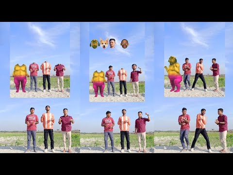 Cute 😍 Three brothers vs dancing fatty dog correct head matching game with tu radha song 😁