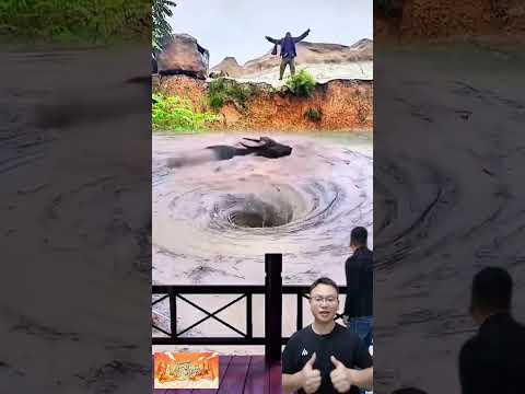 The spleen is very good for the stomach in summer Kun Chinese Medicine