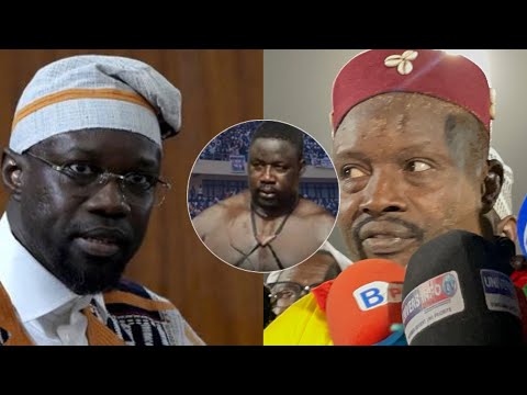 🛑Zarko appel Ousmane Sonko’’Combat bi yaw lako toudé’’Gris Bordeaux do dirigé dara soumala diapé…😱