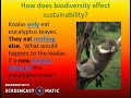 Ecosystem Sustainability and Biodiversity