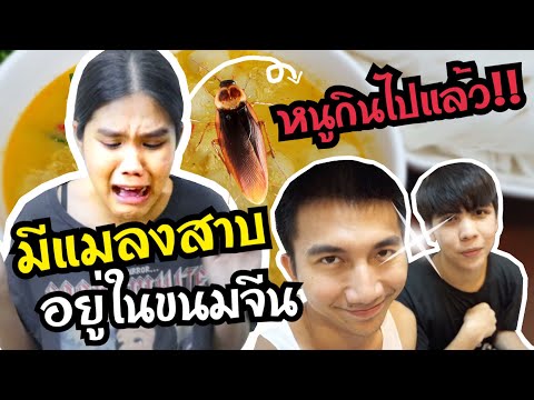 แม่นีย์นำทีมวางแผนแกล้งมอสให้กินแมลงสาบ [ PEXGUY life ]