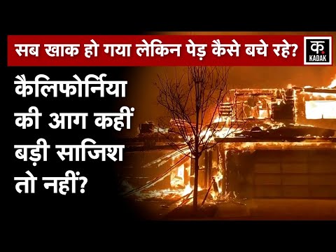 Los Angeles Fire: घर,कार खाक हो गए लेकिन पेड़ कैसे बचे रहे,साजिश के आरोप | California | Hollywood