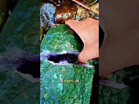 Partió esta piedra y encontró algo increíble 🤩