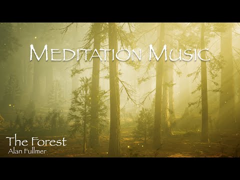 The Forest - Copyright Free Ambient Relaxing Music - Alan Fullmer