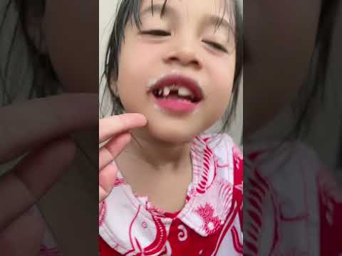Kirain ada lalat di es krim