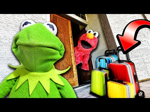 Kermit The Frog Moves back in with Elmo!