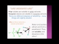 Polarity and Solubility Concepts