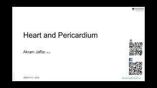 DENT1113 lecture Heart