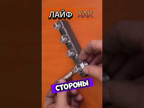 Век живи век учись
