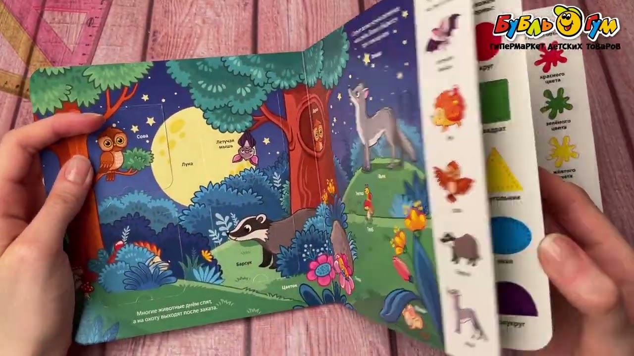 Книга с окошками Мои первые слова Лес с 0мес - видео Книга с окошками Мои первые слова Лес с 0мес - видео