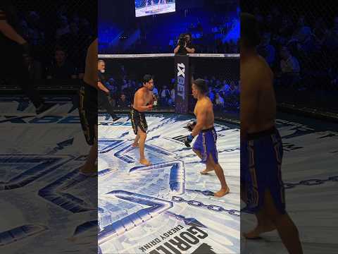 Uzbek Tayson устроил зрелищный бой! #octagon #mma #uzbek