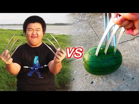 กงเล็บ Wolverine VS แตงโม🍉