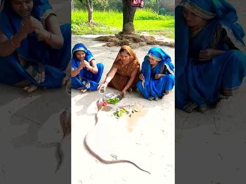 Har Har Mahadev???????????????????????????????????