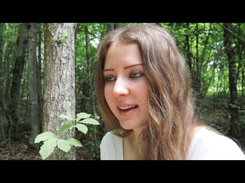 The origins of self-improvement