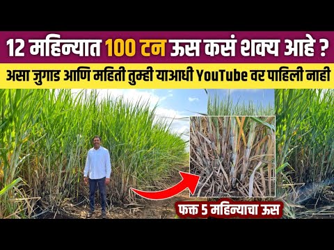 12 महिन्यात 100 टन ऊस कसं शक्य आहे ? | Sugarcane farming in maharashtra 100 tone sugarcane